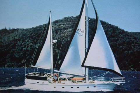 Great Barrier Reef Private Expedition Cruise (min 4 Day Max 8 Guests) - Attractions Brisbane 2