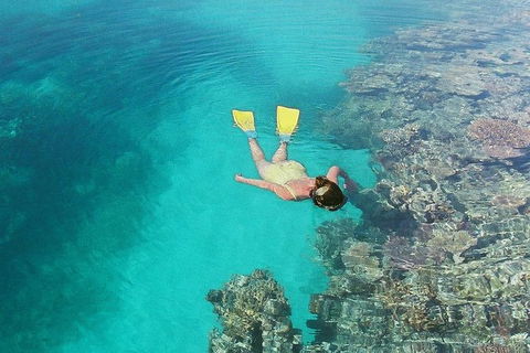 Great Barrier Reef Private Expedition Cruise (min 4 Day Max 8 Guests) - Attractions Brisbane 6