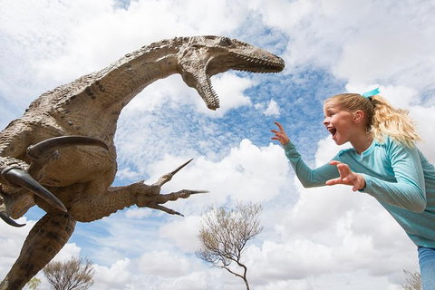 Winton Discovery Day Tour - Attractions Brisbane 0