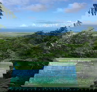 Daintree Luxury Limousine Tour - Full Day - Attractions Brisbane