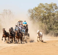 Cobb and Co Stagecoach Experience - Attractions Brisbane