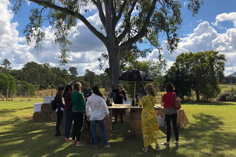 Hinterland Cheese & Wine Tasting Tour - With 2 Course Lunch Included - Attractions Brisbane 1