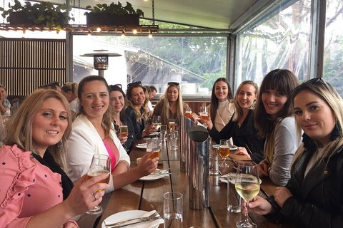 Hinterland Cheese & Wine Tasting Tour - With 2 Course Lunch Included - Attractions Brisbane 0