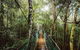 O\'Reilly\'s & Lamington National Park From Gold Coast - thumb 0