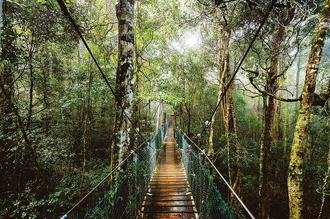 O\'Reilly\'s & Lamington National Park From Gold Coast - Attractions Brisbane 0