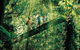 O\'Reilly\'s & Lamington National Park From Gold Coast - thumb 1