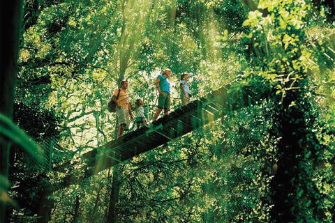 O\'Reilly\'s & Lamington National Park From Gold Coast - Attractions Brisbane 1