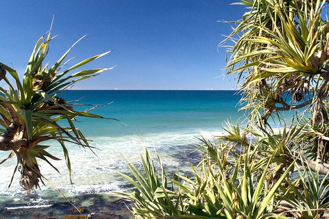 Gold Coast City Sights Tour From Gold Coast - Attractions Brisbane 1