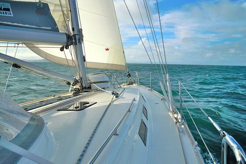 Sailing Curlew Escape On Moreton Bay - Attractions Brisbane 7