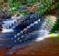 Glow Worms Tour - Nocturnal Rainforest Walk - Small Group - Attractions Brisbane