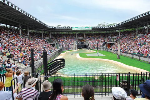 Croc Express To Australia Zoo From Gold Coast - Attractions Brisbane 6
