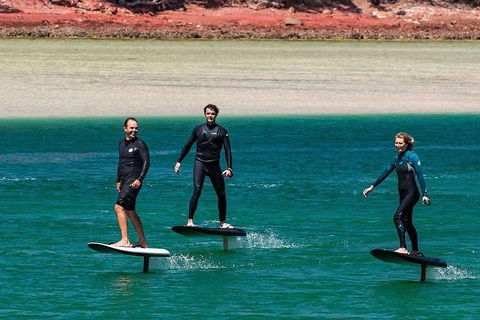 Gold Coast Hydrofoil Tours - Attractions Brisbane 18