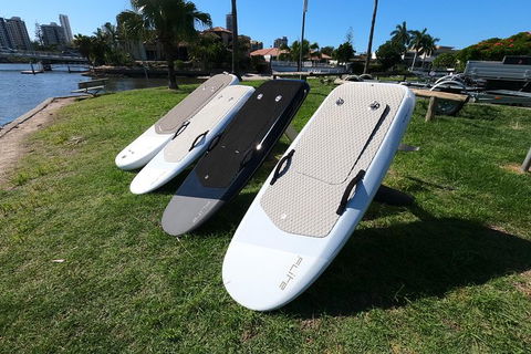 Gold Coast Hydrofoil Tours - Attractions Brisbane 11