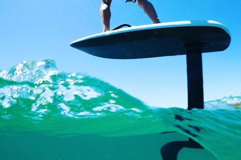 Gold Coast Hydrofoil Tours - Attractions Brisbane 16