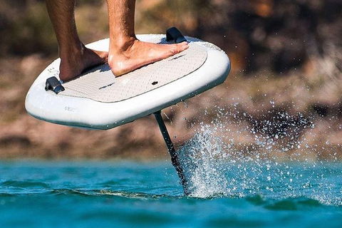 Gold Coast Hydrofoil Tours - Attractions Brisbane 17