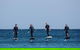 Gold Coast Hydrofoil Tours - thumb 6