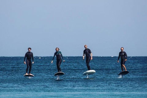 Gold Coast Hydrofoil Tours - Attractions Brisbane 6