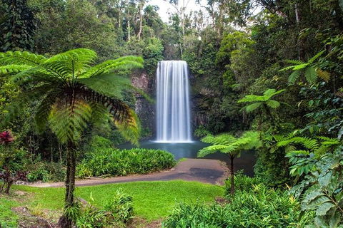 Cairns & Port Douglas All-Inclusive 7 Days Touring Package - Attractions Brisbane 5