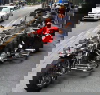 Unique vehicle tour around Brisbane - Attractions Brisbane