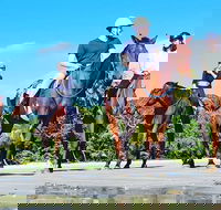 Mid-Morning Beach Horse Ride in Cape Tribulation with Pick Up - Attractions Brisbane