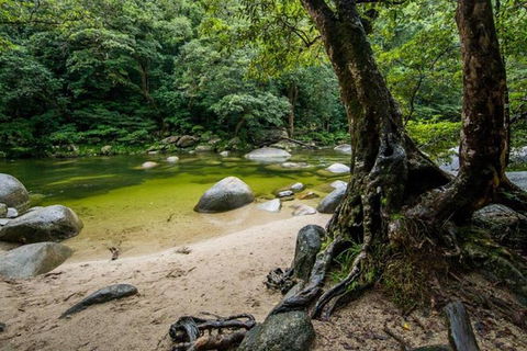 Port Douglas Daintree National Park Boutique Full-Day Tour - Attractions Brisbane 5