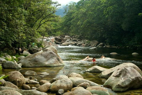 Port Douglas Daintree National Park Boutique Full-Day Tour - Attractions Brisbane 2