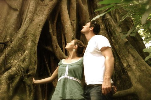 Port Douglas Daintree National Park Boutique Full-Day Tour - Attractions Brisbane 3