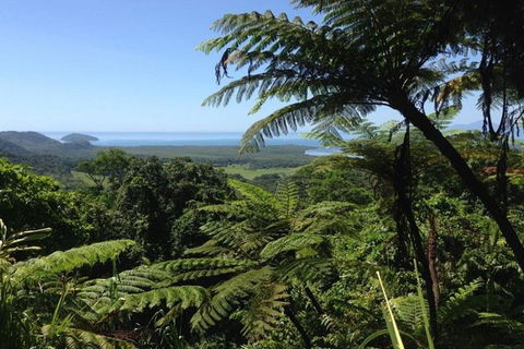 Port Douglas Daintree National Park Boutique Full-Day Tour - Attractions Brisbane 1