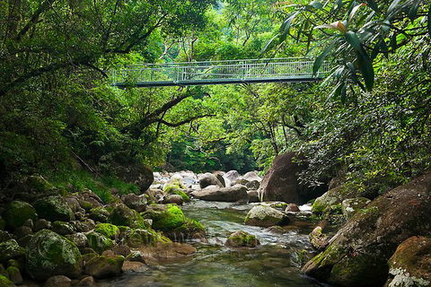 SHUTTLE - Mossman Gorge & Cooya Beach From Port Douglas (Return Transfer) - Attractions Brisbane 4