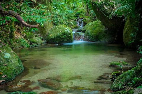 SHUTTLE - Mossman Gorge & Cooya Beach From Port Douglas (Return Transfer) - Attractions Brisbane 2