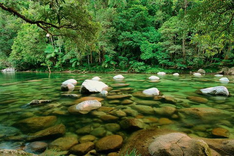 SHUTTLE - Mossman Gorge & Cooya Beach From Port Douglas (Return Transfer) - Attractions Brisbane 3