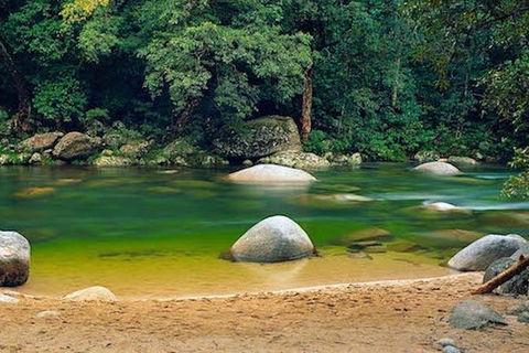 SHUTTLE - Mossman Gorge & Cooya Beach From Port Douglas (Return Transfer) - Attractions Brisbane 1