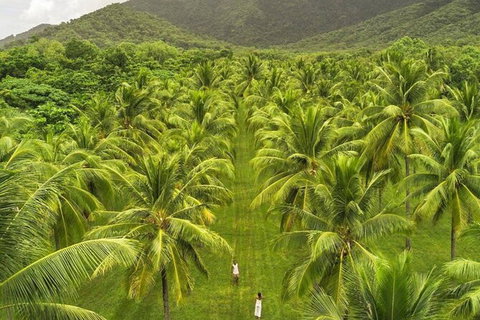 SHUTTLE - Thala Beach And Turtle Cove From Port Douglas (Return Transfer) - Attractions Brisbane 1