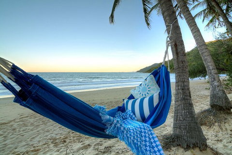 SHUTTLE - Thala Beach And Turtle Cove From Port Douglas (Return Transfer) - Attractions Brisbane 3