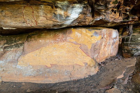 Half Day Aboriginal Rock Art Experience In Queensland - Attractions Brisbane 3