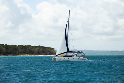 Bareboat Hire - Cattitude 7 Nights - Attractions Brisbane 3