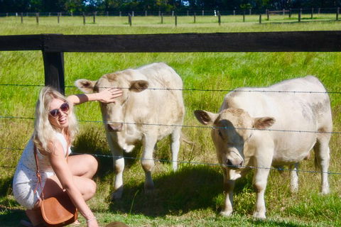 Brewery And Distillery Full-Day Tour In New South Wales - Attractions Brisbane 17