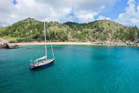 Helicopter And Magnetic Island Sailing - Attractions Brisbane 8