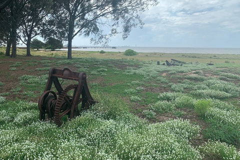 Half Day St. Helena Island Tour - Attractions Brisbane 1