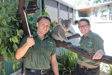 Virtual Interactive Australian Wildlife Tour With Private Guide-Wildlife Habitat - Attractions Brisbane 4
