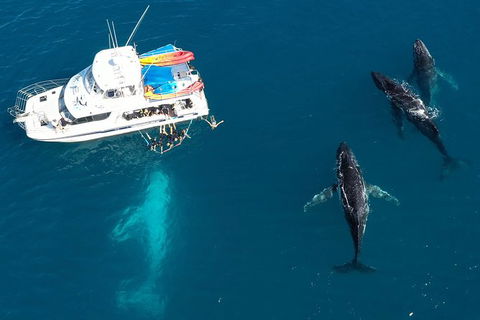 Remote Fraser Island & Whale Experience - Attractions Brisbane 3