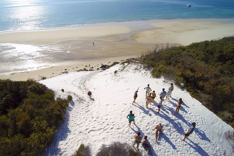 Remote Fraser Island & Whale Experience - Attractions Brisbane 2