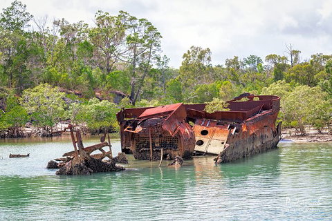 Sandy Straits Scenic & Wildlife Cruise - Attractions Brisbane 9