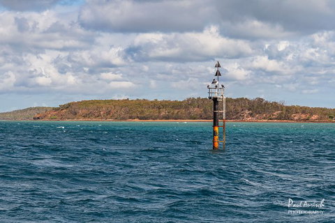 Sandy Straits Scenic & Wildlife Cruise - Attractions Brisbane 6
