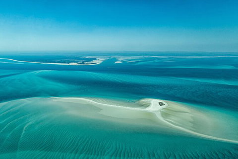 Sandy Straits Scenic & Wildlife Cruise - Attractions Brisbane 5