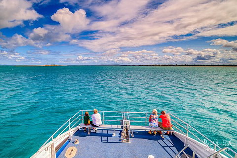 Sandy Straits Scenic & Wildlife Cruise - Attractions Brisbane 7
