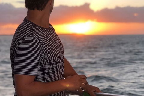 Sunset Twilight Cruise In Hervey Bay - Attractions Brisbane 3