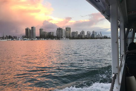 Aquaduck Secrets, Scandals And Sunset Tour - Attractions Brisbane 5