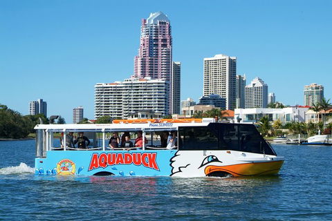 Aquaduck & Paradise Jet Boating Combo - Attractions Brisbane 5