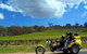 Unique Trike Barossa Valley Half Day Private Tour For 2 - thumb 0